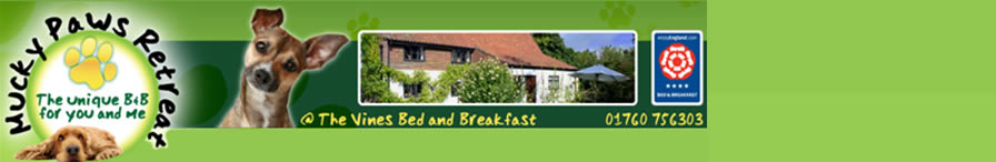 Bed And Breakfast Norfolk