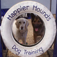 Dog Training Laois