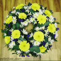 Flowers  Belfast