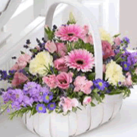 Florist Worthing