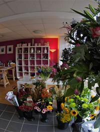 Florists In Hitchin
