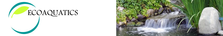 Pond Maintenance Buckinghamshire