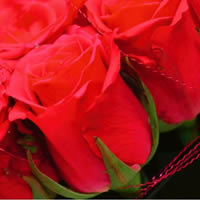 Wedding Flowers New Yatt