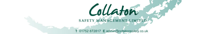 Cdm Co-Ordinator Plymouth