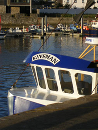 Fish Merchant Cornwall 