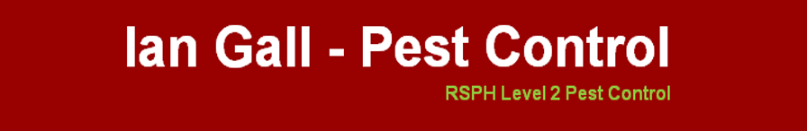 Pest Control Rugby