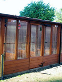 Cattery Norwich