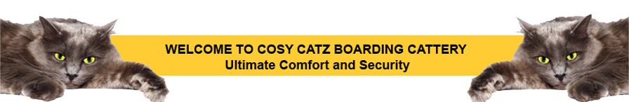 Cattery Norwich