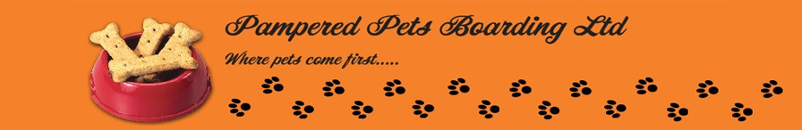 Dog Boarding Nottingham 
