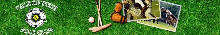 Polo Lessons Derbyshire