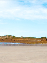 Rentals In Guernsey