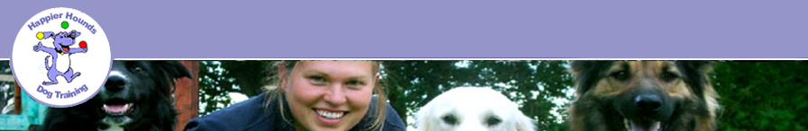 Dog Training Laois