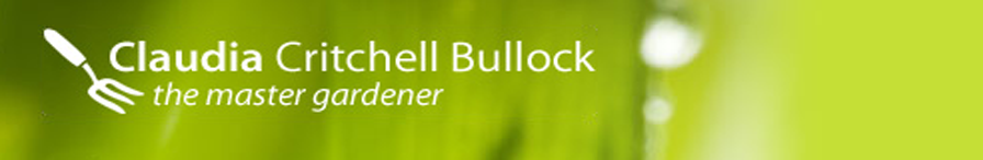 Landscape Gardener Kingston