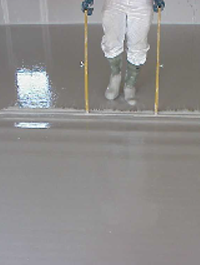 Screeding Northumberland