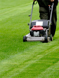Lawnmower Merseyside
