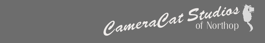 Wedding Photographer In Wirral 