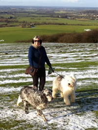 Dog Day Care Harpendon 