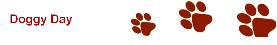 Dog Day Care Harpendon 