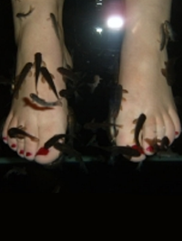 Fish Pedicures Weymouth
