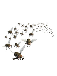 Pest Control Rugby